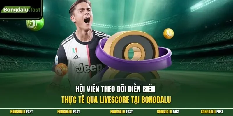 Hội viên theo dõi diễn biến thực tế qua Livescore tại Bongdalu