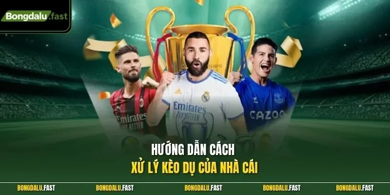 Hướng dẫn cách xử lý kèo dụ của nhà cái