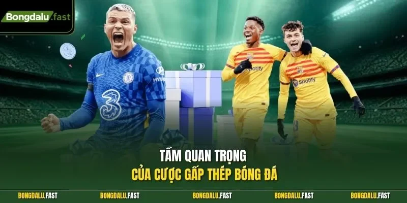 Tầm quan trọng của cược gấp thép bóng đá